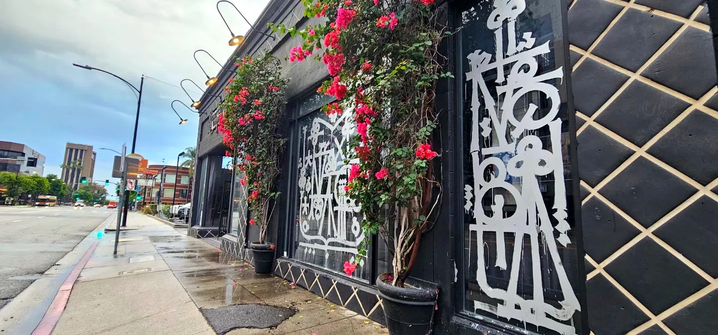 Painted front windows with bougainvillea